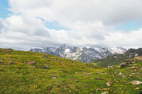 De Vinschgauer bergen in Zuid-Tirol laten zich in het voorjaar zien met alpenbloemen, wollegras en een fris berglandschap. Een indrukwekkende combinatie van natuurlijke diversiteit en alpenweiden.