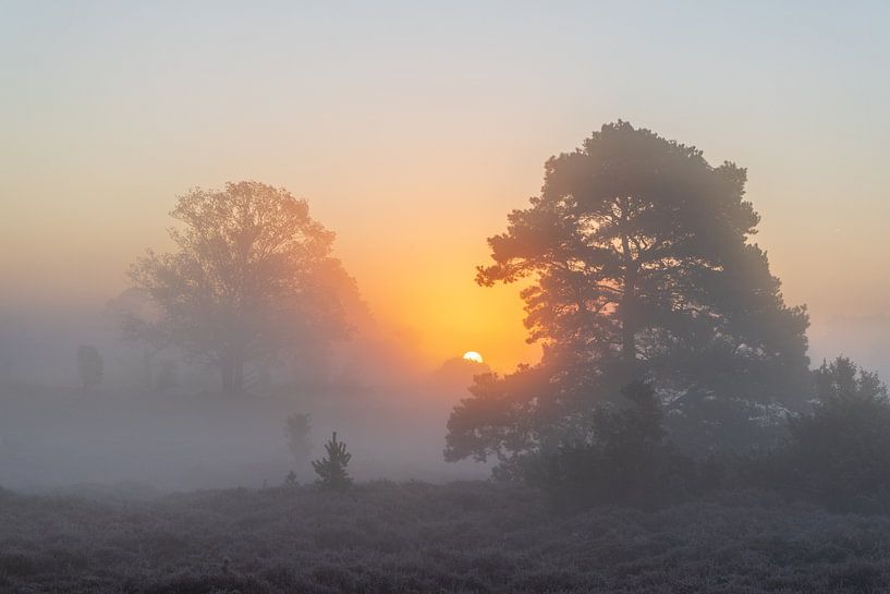 Sunrise in the fog by Sander Ros