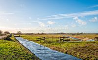 Des oies s'envolent dans un polder hollandais par Ruud Morijn Aperçu