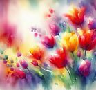 Tulip fire by Kay Weber thumbnail
