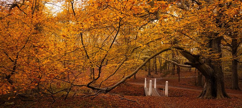 Bridge under bridge by peterheinspictures