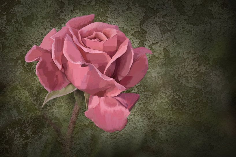 rosa Rose von Dieter Beselt