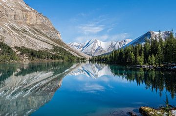 Jasper National Park, Alberta (Canada) van Kaj Hendriks