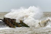 La tempête au bord de la mer (4)