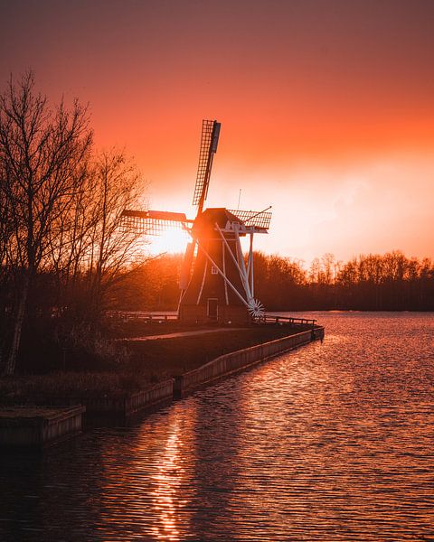 Sunset by Arnold Maisner