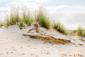 Dune avec des herbes de plage. Un sentiment de vacances. sur Alie Ekkelenkamp