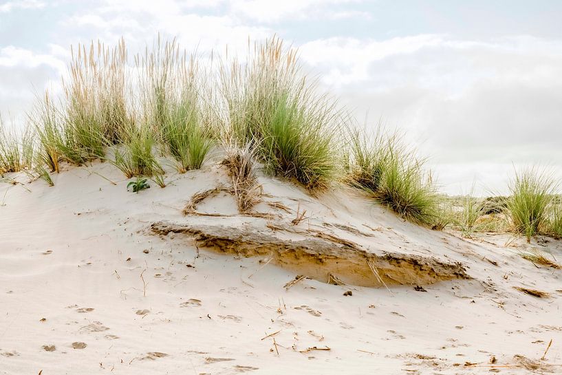 Dune with Helmgrass. Vacation spirit. by Alie Ekkelenkamp