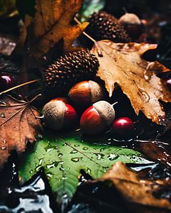 Herbststimmung