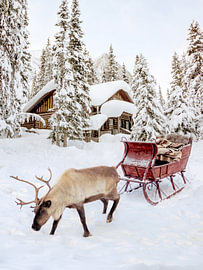 Winterausflug von Gal Design