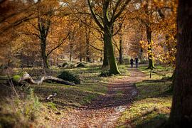Spazierengehen von Nanouk el Gamal - Wijchers (Photonook)