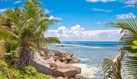 Tropical Beach avec palmiers et Rocks - Seychelles par Alex Hiemstra Aperçu