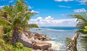 Tropical Beach avec palmiers et Rocks - Seychelles