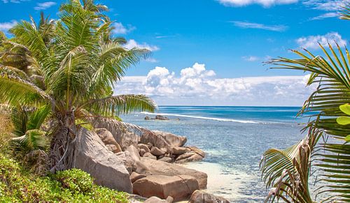 Tropisch strand met Palmbomen en Rotsen - Seychellen