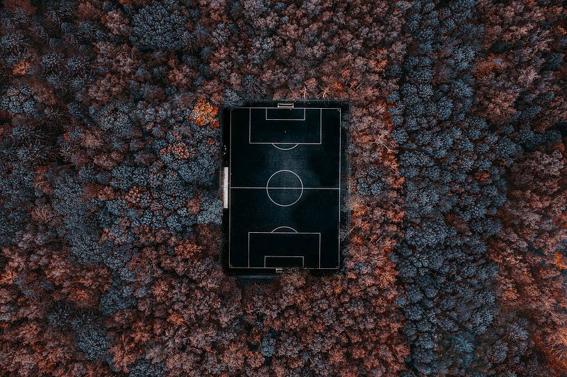 Spielen im Wald von Carmine Chiriacò