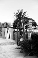 Moorea Saint-Tropez