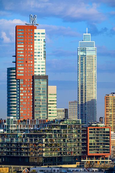 Rotterdam skyline during sunrise by Sjoerd van der Wal Photography