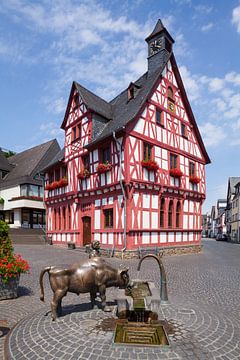 Stadhuis, Rhens, Midden-Rijn