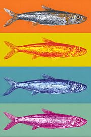 Pop auf Fisch von Skyfall