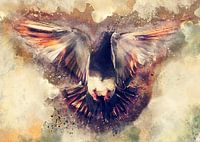 Taube Vogel Aquarell Kunst #Taube