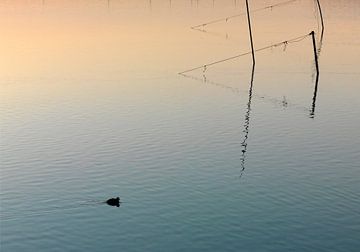 Paysage côtier avec filets de pêche sur Sky Pictures Fotografie