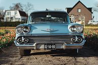 Oldtimer car between the tulips by Sanne Dost thumbnail
