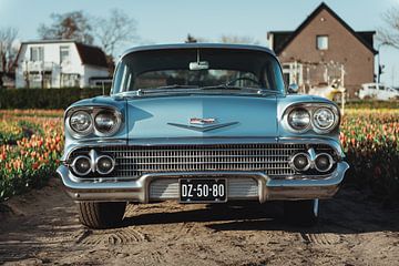 Oldtimer car between the tulips by Sanne Dost