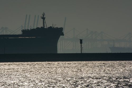 Schepen in de mist onderweg naar zee vanaf de Europoort