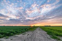 Evening mood over a country road
