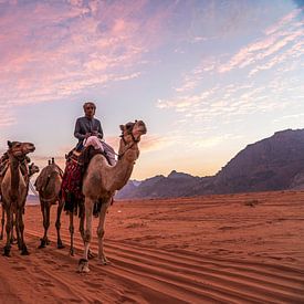 Wadi Rum, Jordanië van Peter Schickert