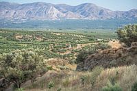 Griechische Ansichten Kreta