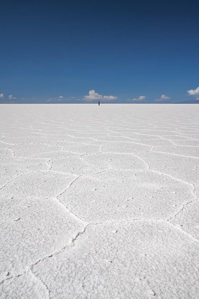 Salines d'Uyuni par Photographie de voyage d'Erwin