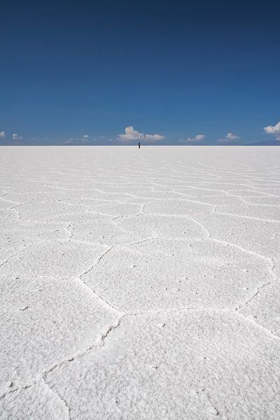 Zoutvlakte van Uyuni van Erwin Blekkenhorst