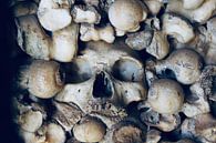 Crâne dans la chapelle ou les os par Steven van Dijk Aperçu