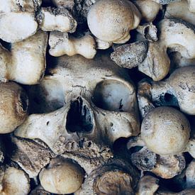 Schedel in Chapel of Bones van Steven van Dijk