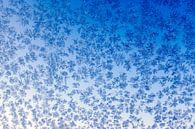 Ice crystals against the window by Annieke Slob thumbnail