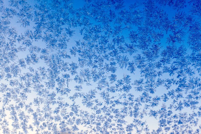 Ice crystals against the window by Annieke Slob