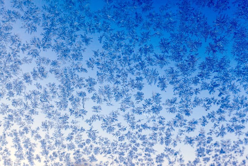 Eiskristalle gegen das Fenster von Annieke Slob