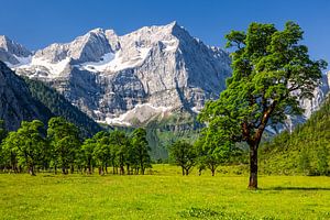 Sommer am Ahornboden