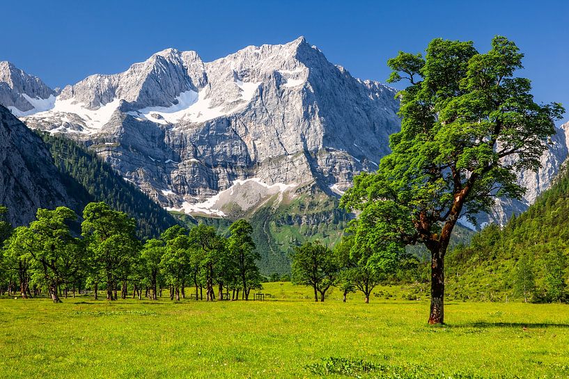 Summer on the Ahornboden by Achim Thomae Photography