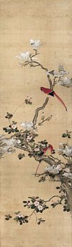 Chen Mei,Magnolias and birds, Chinese birds and flowers Skinned