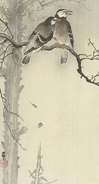 Ohara Koson - Two grey starlings (edited) by Peter Balan