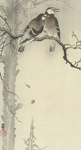 Ohara Koson - Twee grijze spreeuwen (bewerkt)