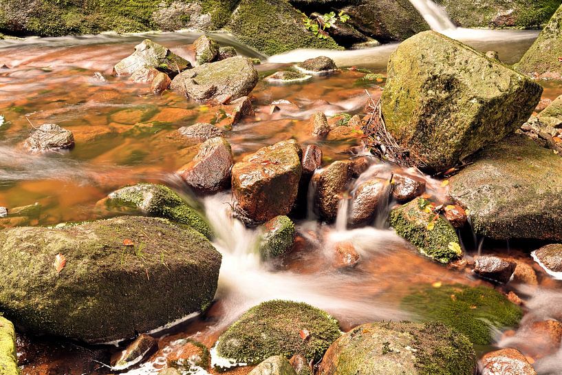The river Ilse in the Harz National Park by Heiko Kueverling