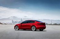 Tesla Model 3 van Art Indi thumbnail