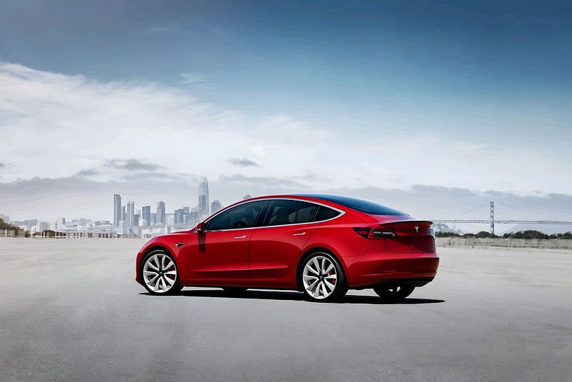 Tesla Model 3 van Art Indi