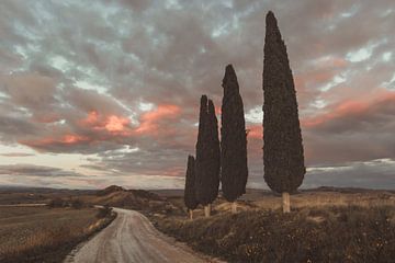 Bochtige landweg naast torenhoge cipressen in Toscane van Besa Art