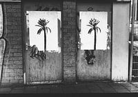 Beauty is everywhere