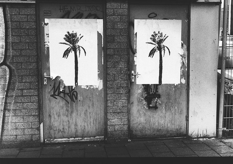 Beauty is everywhere by De Analoog