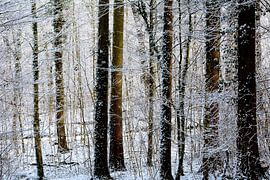 WINTERMÄRCHEN 3 von Miroslav Ptacek