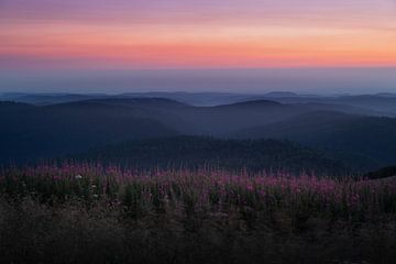 Sunset over the French Vosges by Ken Costers